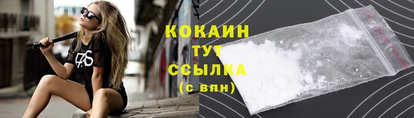 эйфоретик Белокуриха