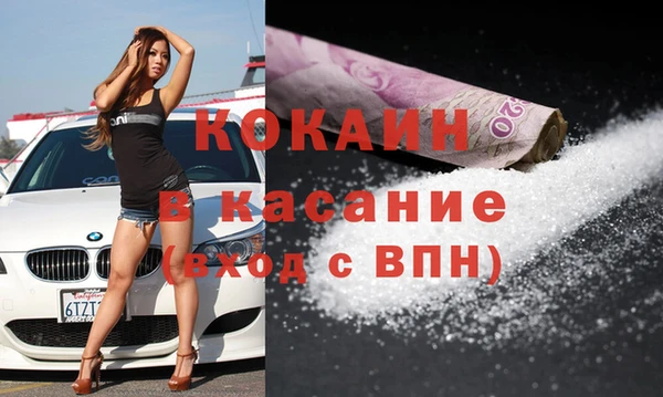 сатива Беломорск