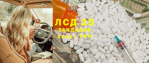 сатива Беломорск