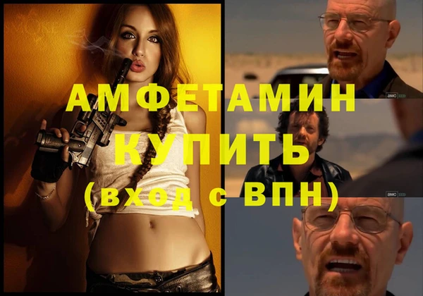 сатива Беломорск