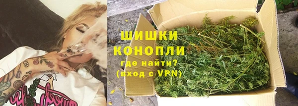 сатива Беломорск