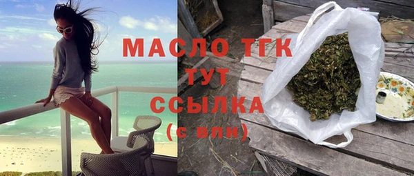 сатива Беломорск