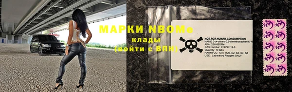 сатива Беломорск