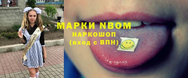 сатива Беломорск