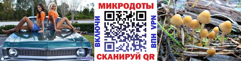 наркотики Тамбов Галлюциногенные грибы MAGIC MUSHROOMS